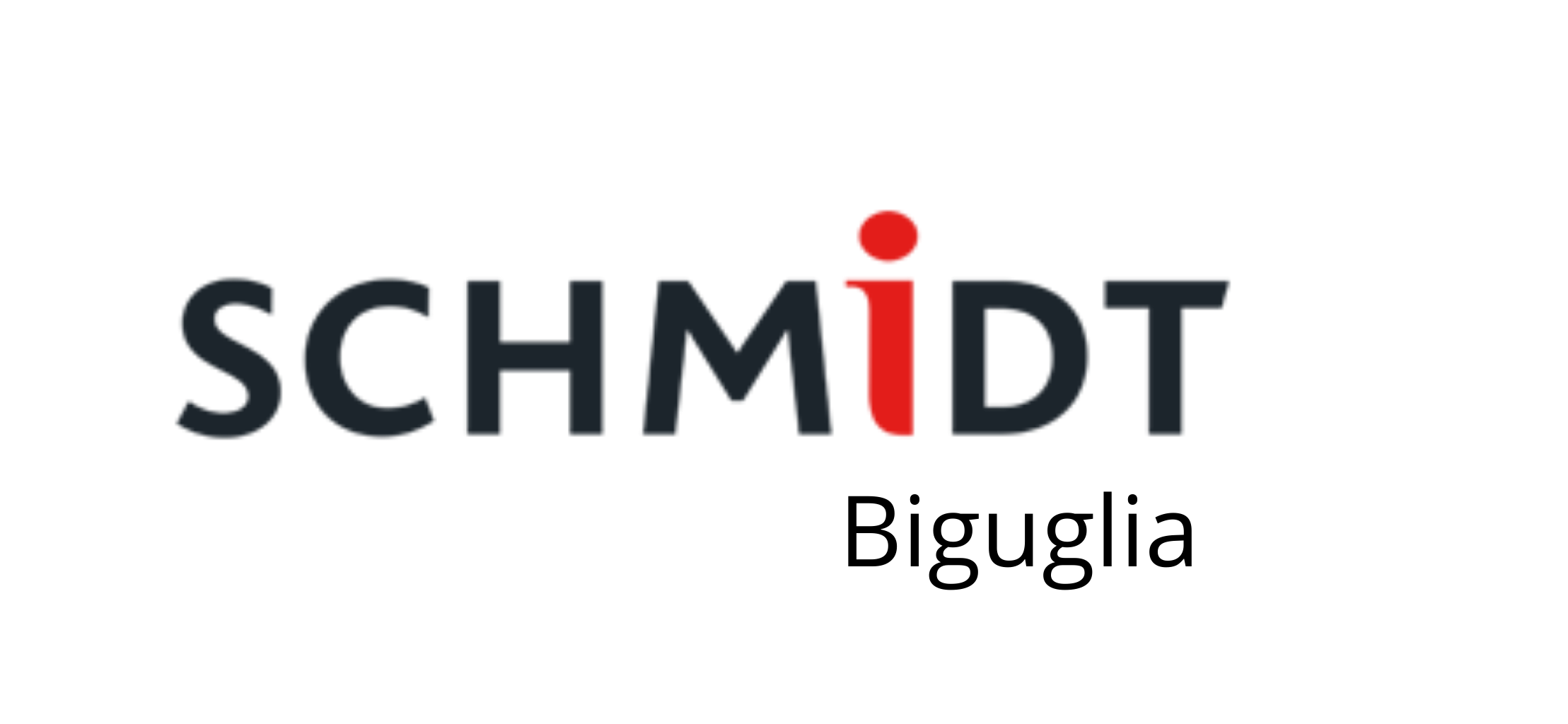 logo SCHMIDT Biguglia