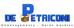 logo De Petriconi