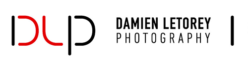 logo Damien LETOREY